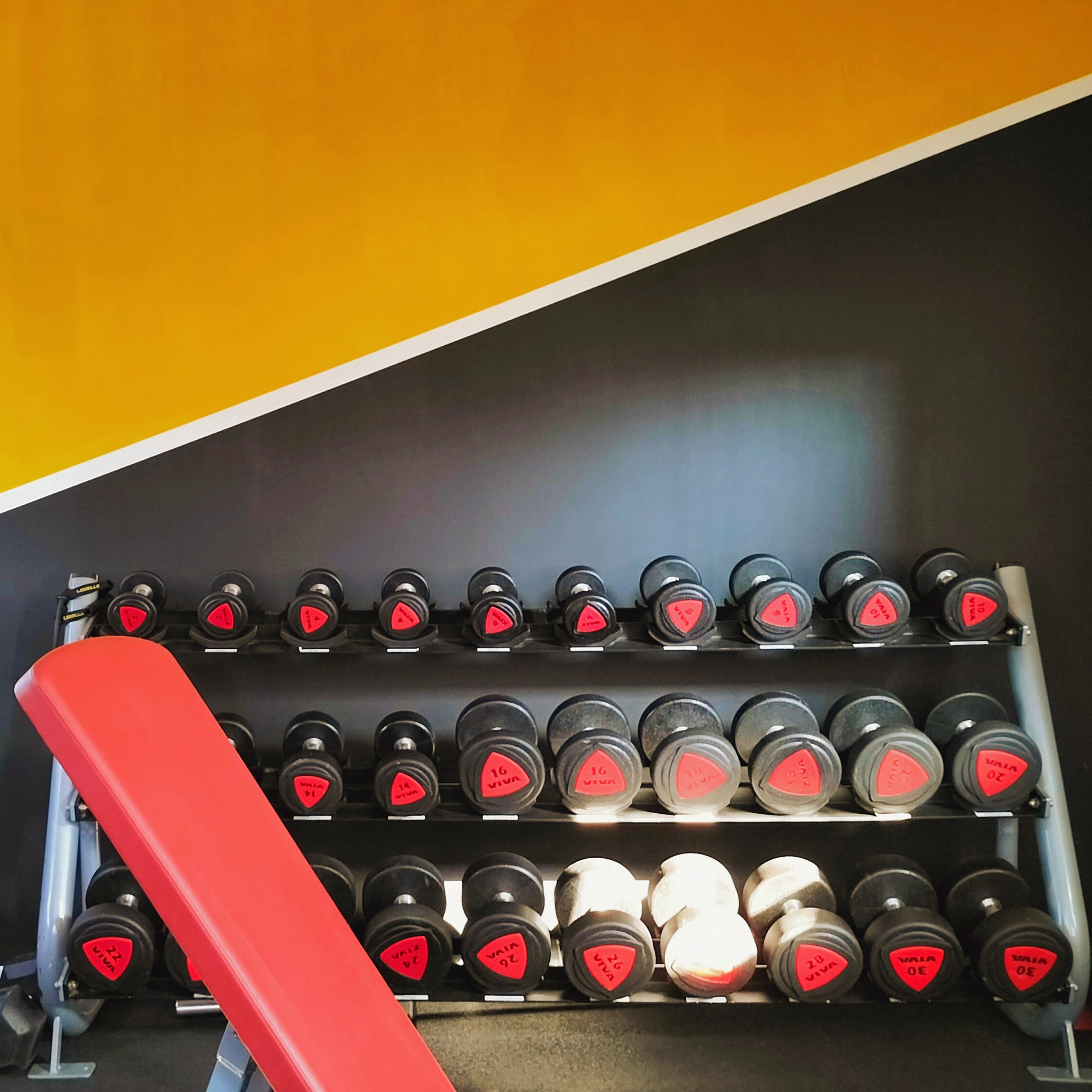 Rack à haltères de la salle